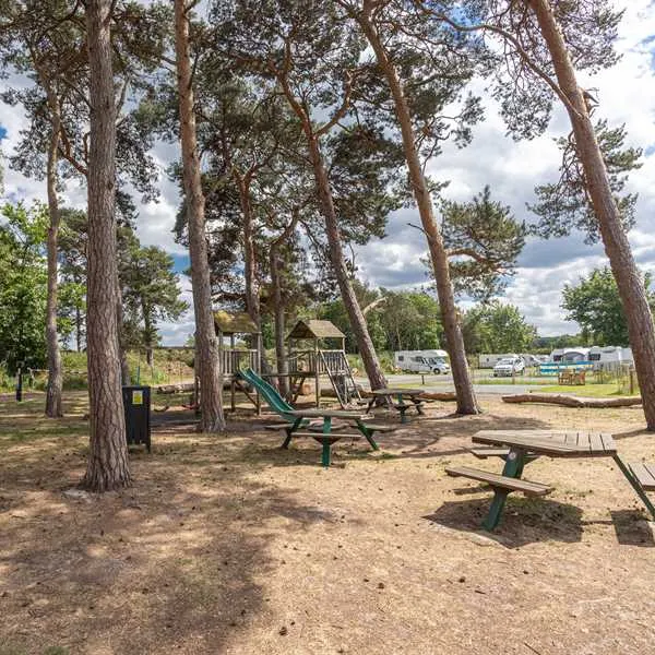 pinecones-caravan-and-camping-dersingham-jkppe