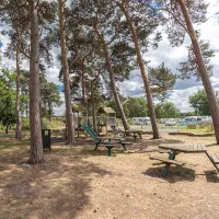pinecones-caravan-and-camping-dersingham-jkppe