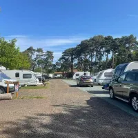 pinecones-caravan-and-camping-dersingham-z1ltf