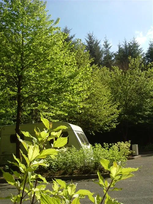 beecraigs-caravan-and-camping-site-linlithgow-epfmw