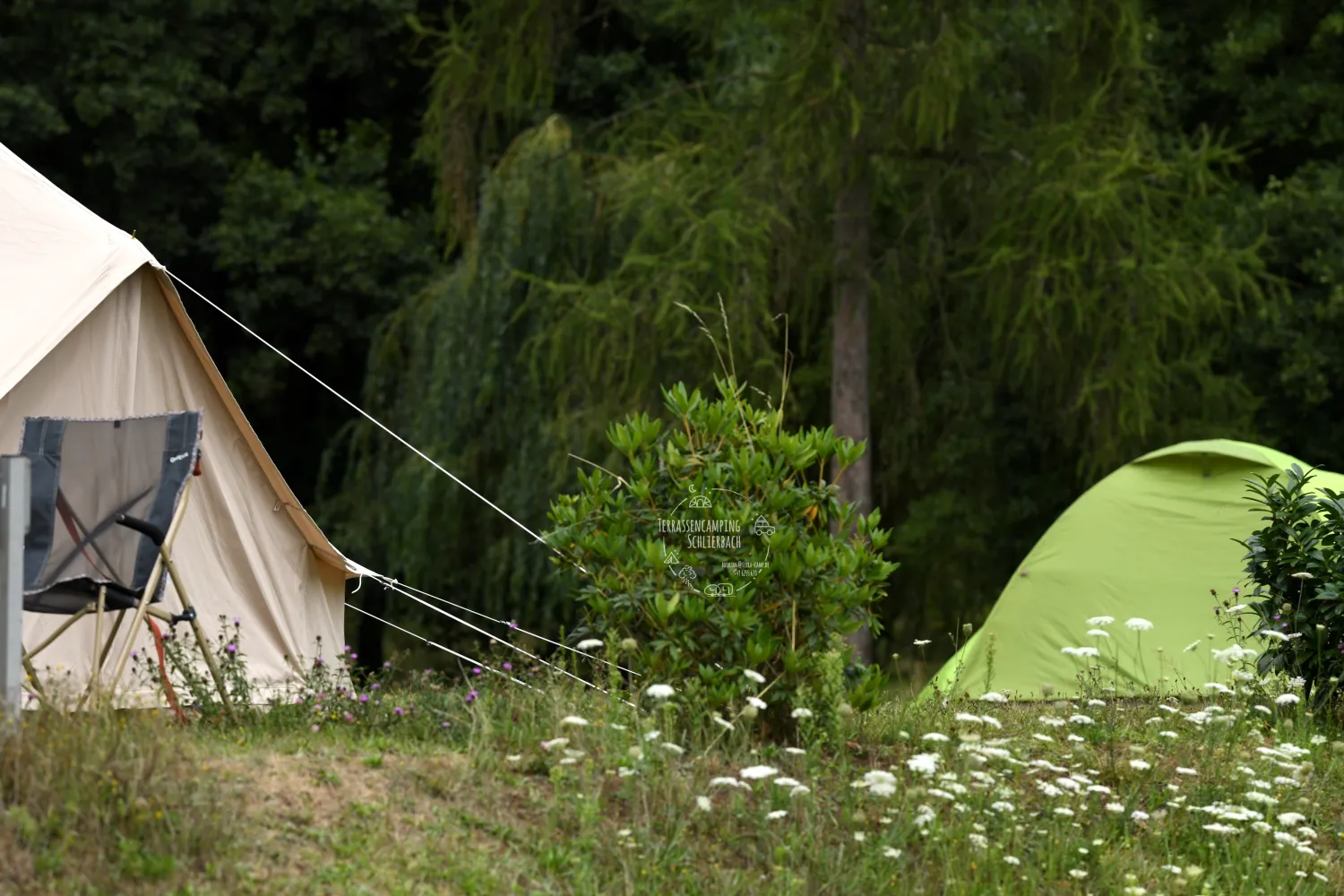 terrassencamp-schlierbach-lindenfelsschlierbach-sgirl