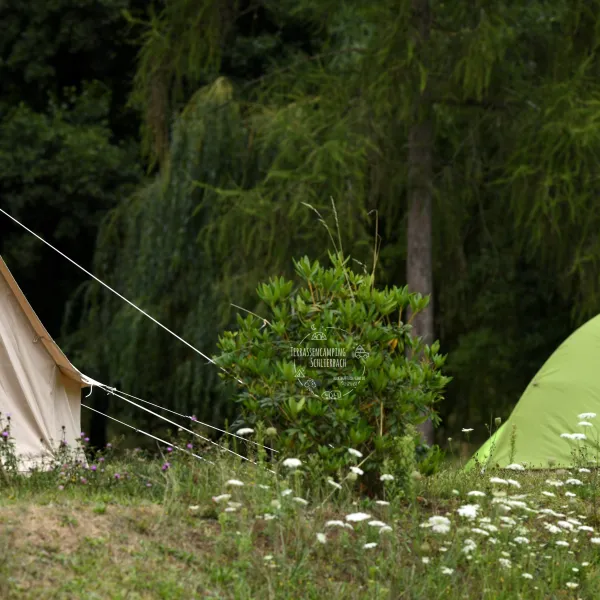 terrassencamp-schlierbach-lindenfelsschlierbach-sgirl