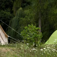 terrassencamp-schlierbach-lindenfelsschlierbach-sgirl