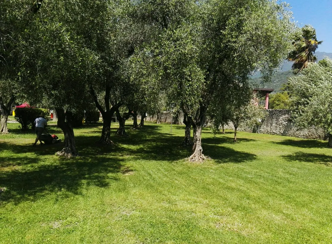 campeggio-europa-torbole-cazvb
