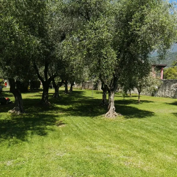campeggio-europa-torbole-cazvb