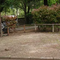 campeggio-europa-torbole-ddp4i