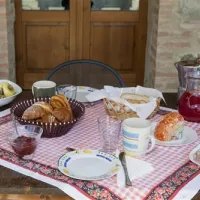bio-agricampeggio-il-saregeto-castiglion-fiorentino-drima