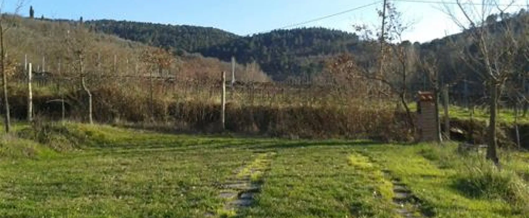 Agricampeggio Il Saregeto