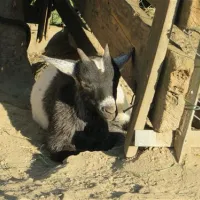 maltatal-terrassencamping-malta-havy5