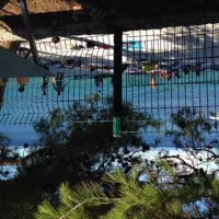 autocamp-labadusa-trogir-7kd4i
