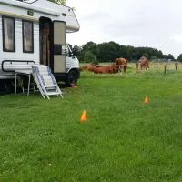 camping-de-adelaar-voorst-gem-voorst-plyxr