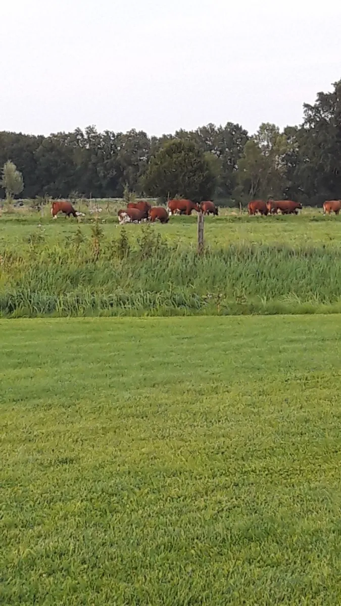 camping-de-adelaar-voorst-gem-voorst-unpwn