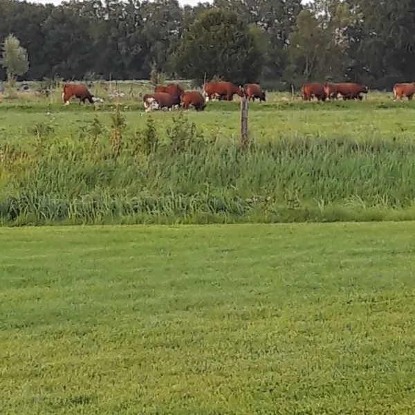camping-de-adelaar-voorst-gem-voorst-unpwn