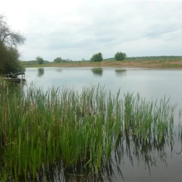 campingplatz-ahlden-sr-homfeld-gbr-ahlden-cckzo