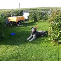caravancamp-ostseeblick-dranske-ggw7a