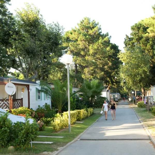 camping-le-littoral-argeles-plage-is8fm
