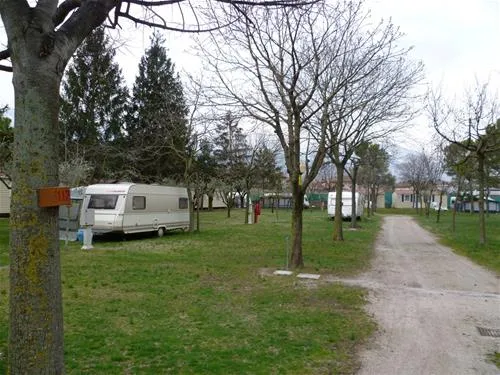 camping-daino-pietramurata-4i82j