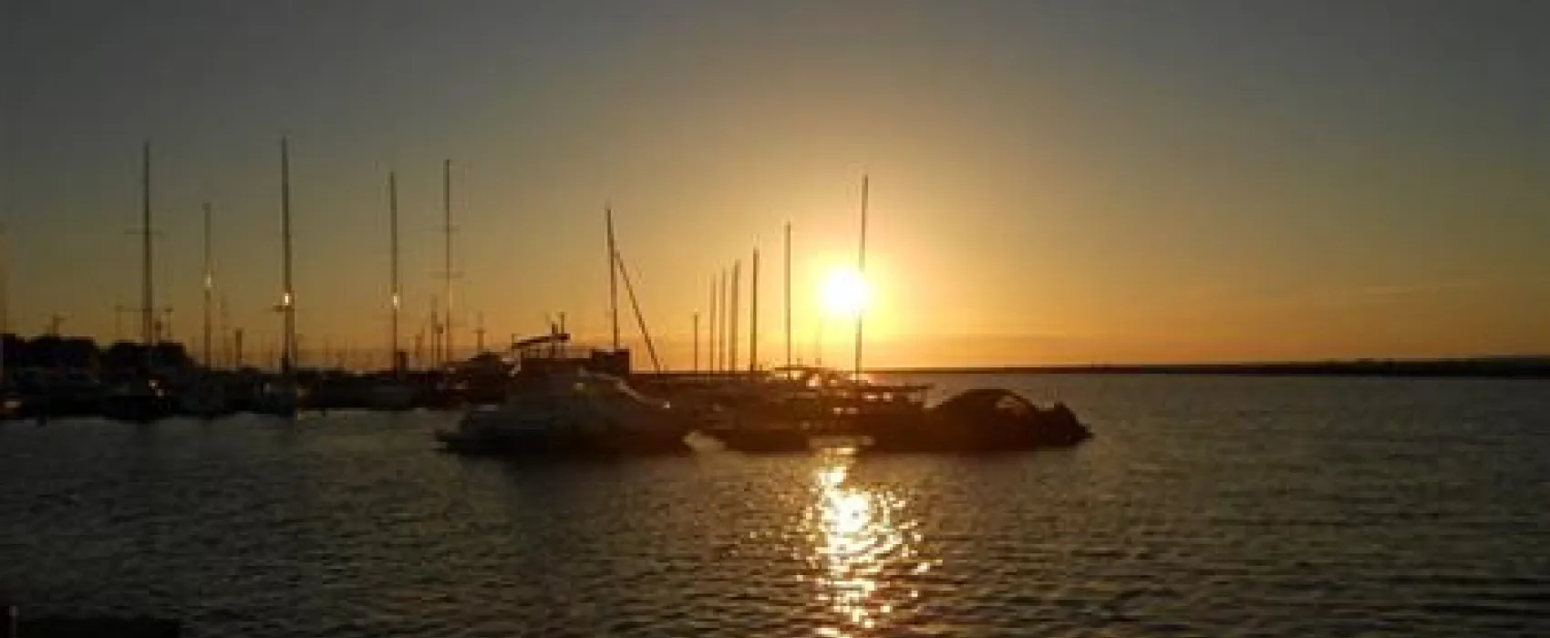 Tallin City Camping