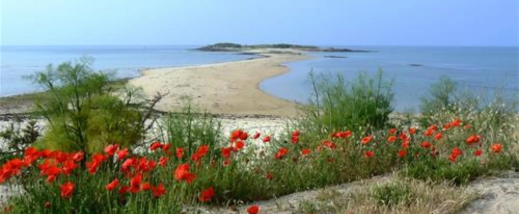 Camping Kervilor  