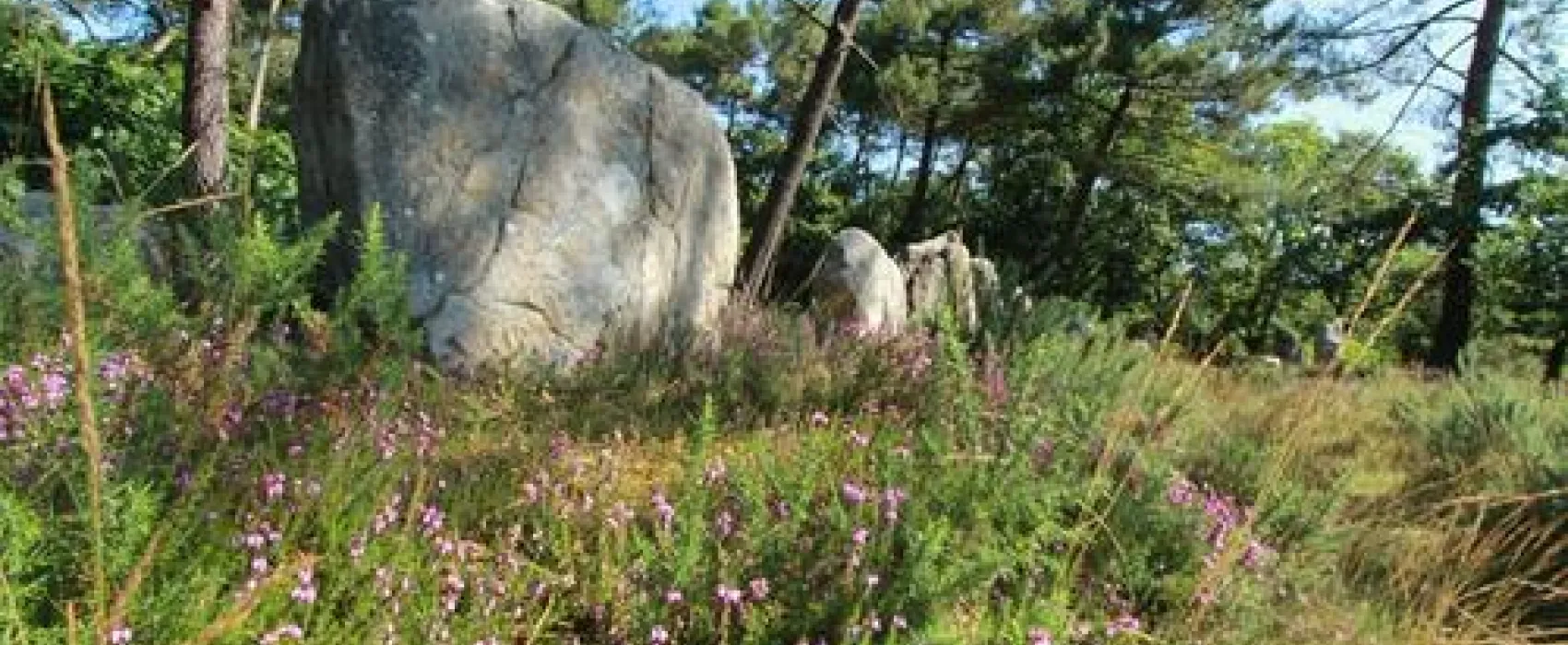 Camping Kervilor  