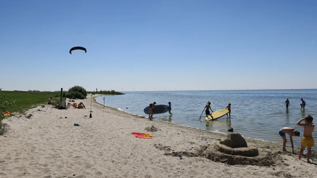 camping-rijsterbos-rijs-trphk