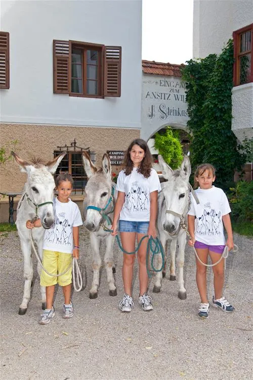 campeggio-ansitz-wildberg-sankt-lorenzen-ctwow