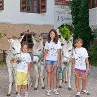 campeggio-ansitz-wildberg-sankt-lorenzen-ctwow
