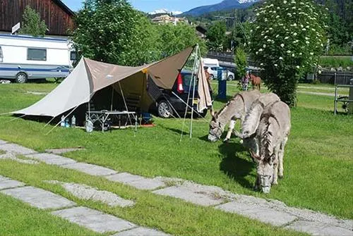campeggio-ansitz-wildberg-sankt-lorenzen-iaa0u