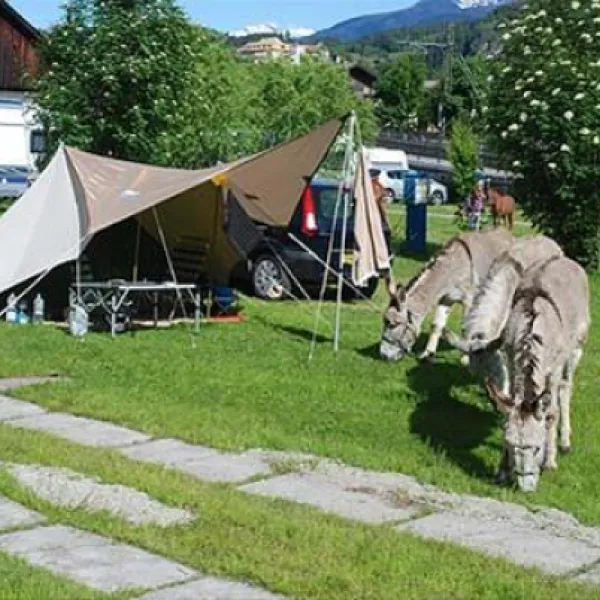 campeggio-ansitz-wildberg-sankt-lorenzen-iaa0u