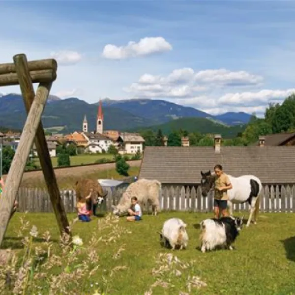 campeggio-ansitz-wildberg-sankt-lorenzen-o6nnj