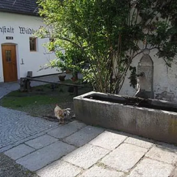 campeggio-ansitz-wildberg-sankt-lorenzen-snpqq