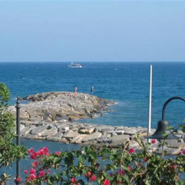 bungalows-miracervo-cervo-im-d2kiq