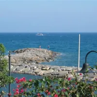 bungalows-miracervo-cervo-im-d2kiq
