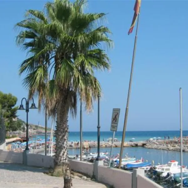 bungalows-miracervo-cervo-im-zhkub