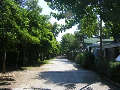 camping-villaggio-desiderio-paestum-tpmfe