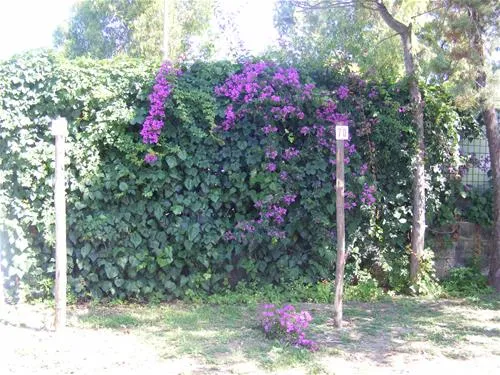 camping-villaggio-desiderio-paestum-xqmzo
