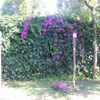 camping-villaggio-desiderio-paestum-xqmzo