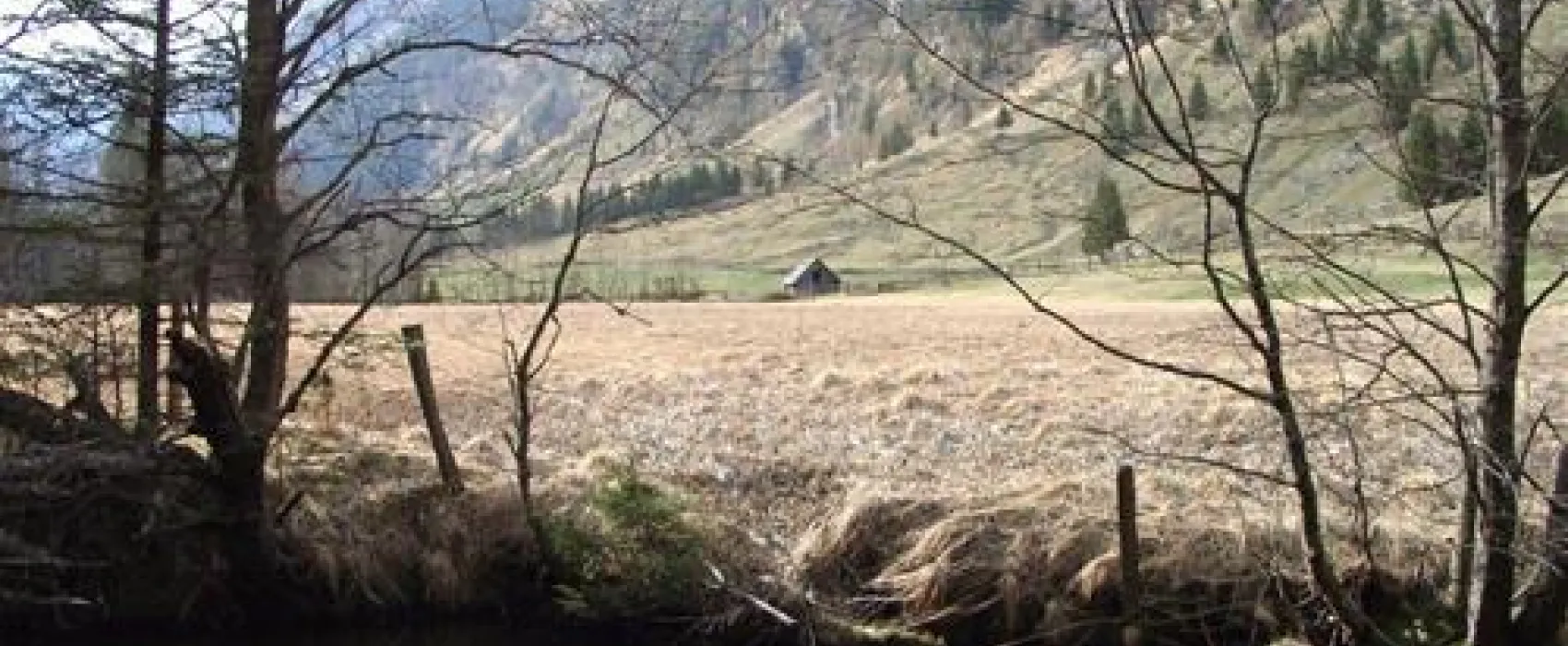 Sommer- und Wintercamping Ramsbacher