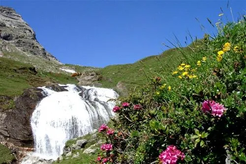sommer-und-wintercamping-ramsbacher-rennweg-am-katschberg-rcdqa