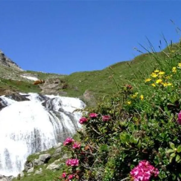 sommer-und-wintercamping-ramsbacher-rennweg-am-katschberg-rcdqa
