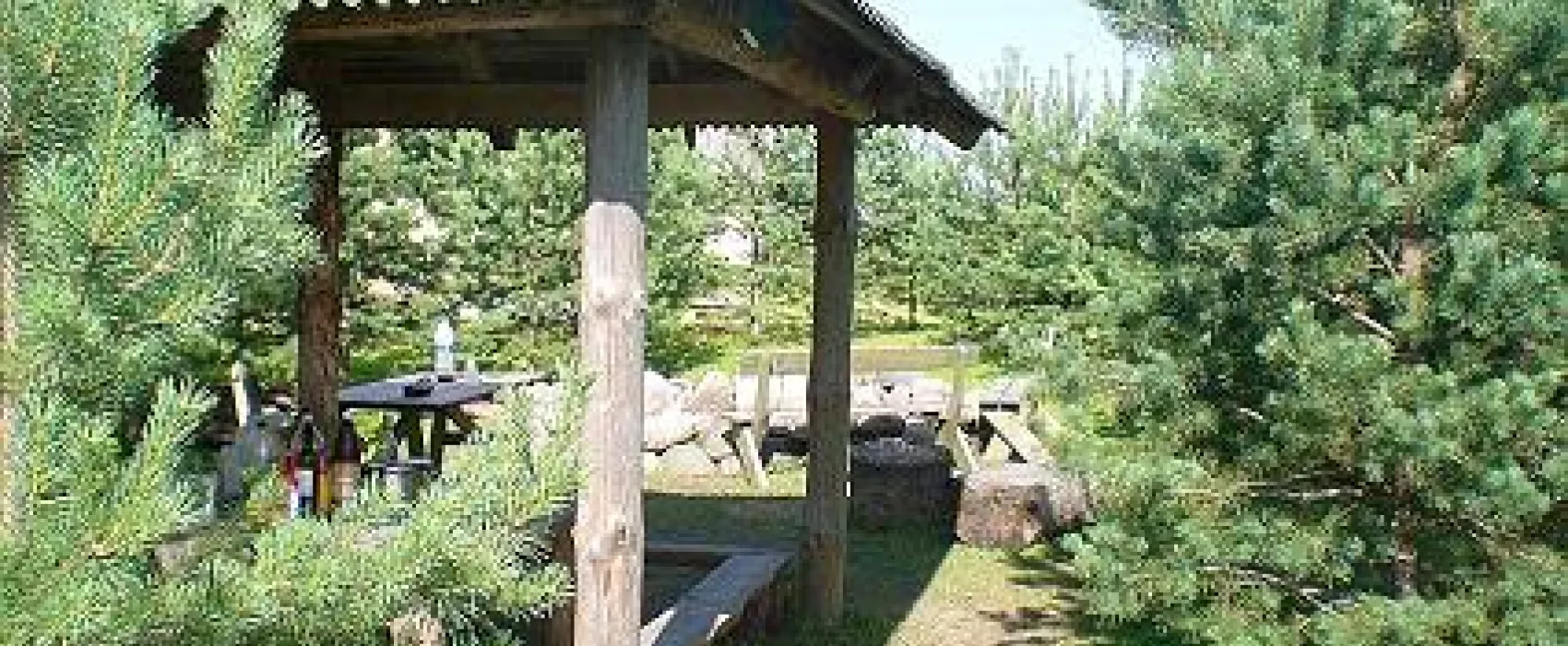 Camping Metsaveere