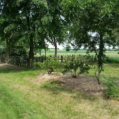 campingplatz-landidyll-bad-lausick-bei-leipzig-vba5n