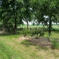 campingplatz-landidyll-bad-lausick-bei-leipzig-vba5n
