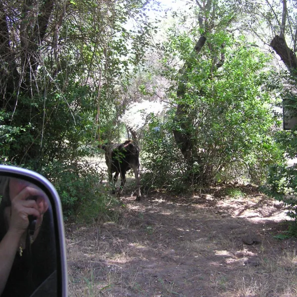camping-les-deux-torrents-galeria-un9sp
