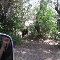 camping-les-deux-torrents-galeria-un9sp