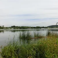 erlebnis-und-freizeitwelt-niedermooser-see-niedermoos-ebfsd
