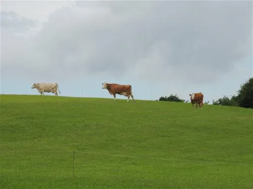 erlebnis-und-freizeitwelt-niedermooser-see-niedermoos-eqldk