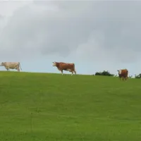 erlebnis-und-freizeitwelt-niedermooser-see-niedermoos-eqldk