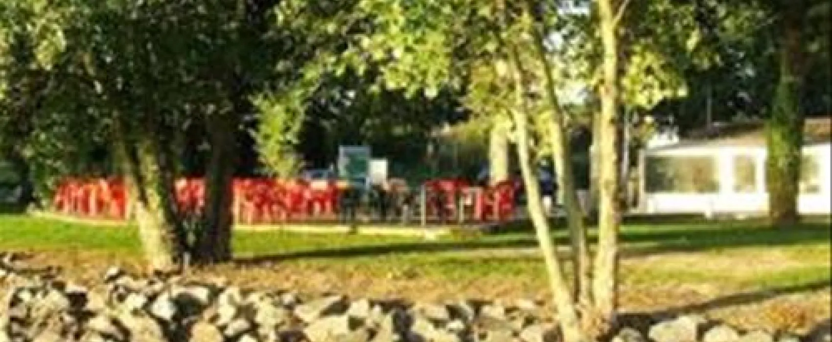 Flower Camping Du Lac