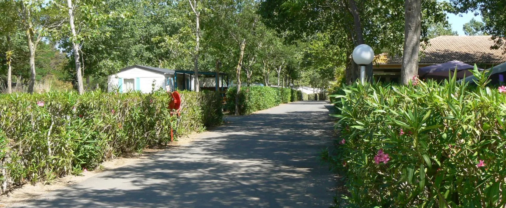 Camping Le Rochelongue